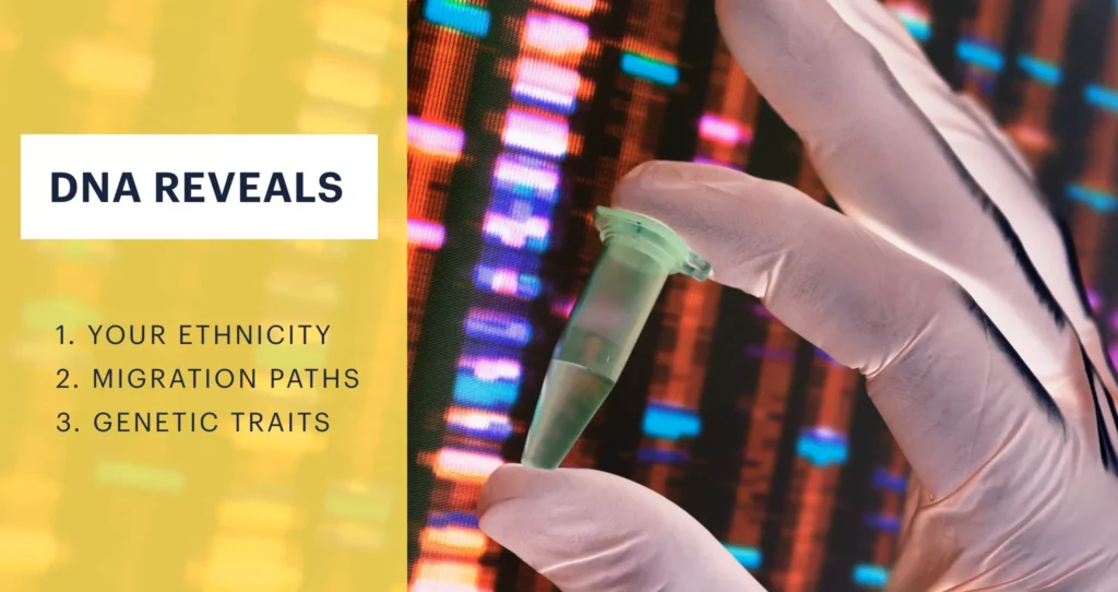 DNA Reveals:
1. YOUR ETHNICITY
2. MIGRATION PATHS
3. GENETIC TRAITS