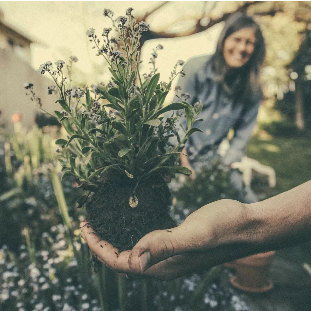 A family working in their garden.