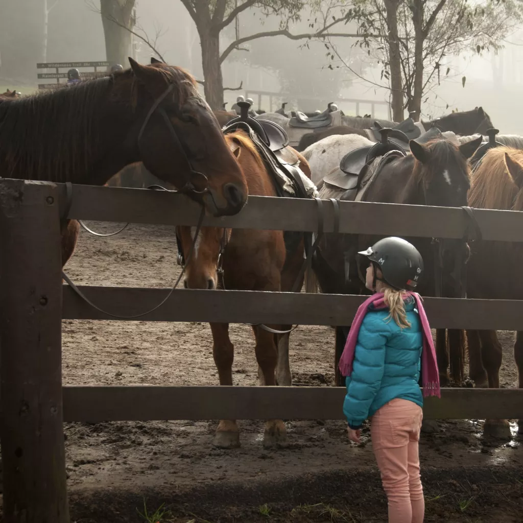 A young girl looks up at her horse.